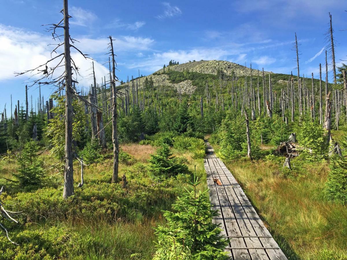 Ferienwohnung Fernblick Neukirchen vorm Wald Dış mekan fotoğraf